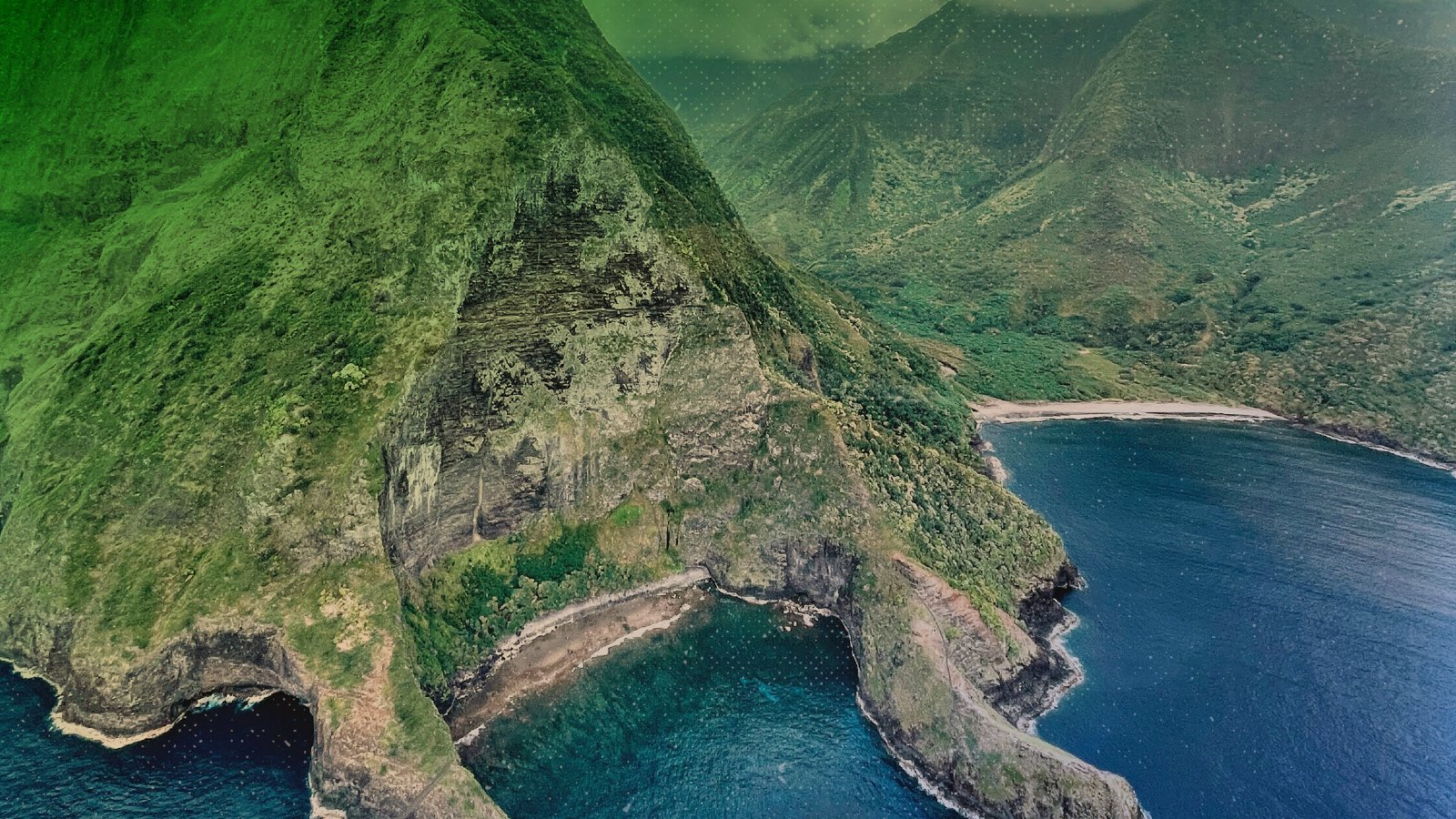  YOU LOVE TO SEE IT: Wall Street Can’t Buy Aloha 