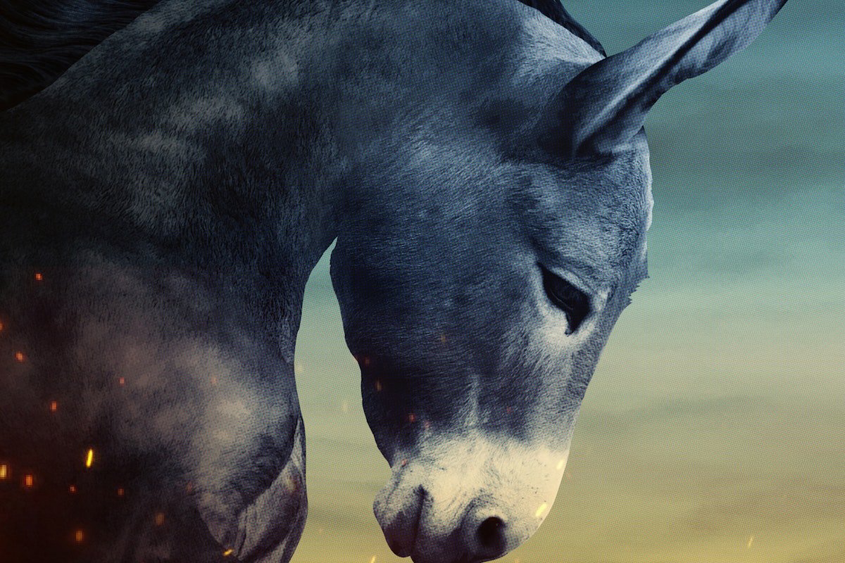 What the Democrats Need to Do Now