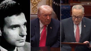 Ralph Nader on Trump's "Entrenching Dictatorship," Reclaiming Congress, and the Fight Against Big Money