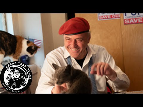 Cat People (Running For Mayor) feat. Jon Bois | Chapo Trap House