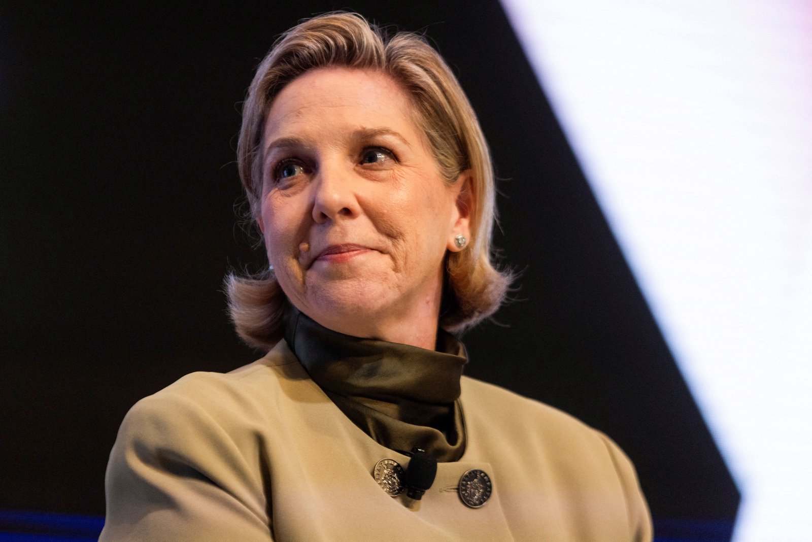 Tesla board chair says impact of Musk’s political turn on Tesla sales is 'not conclusive'