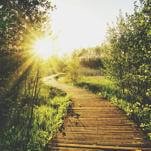 Daylight Saving Time Is the Latest Argument Waiting to Divorce MAHA from MAGA