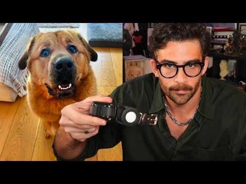 Someone lied to you.