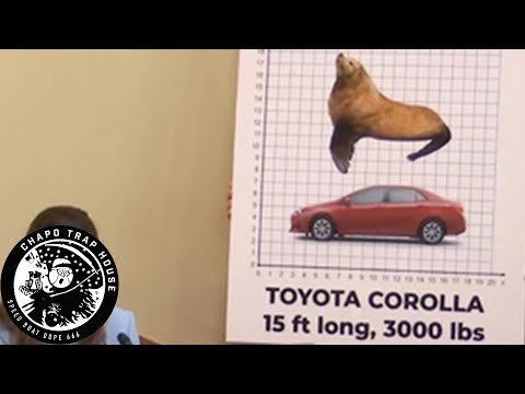 From the Columbia River to the Sea feat. Andrew Hudson | Chapo Trap House