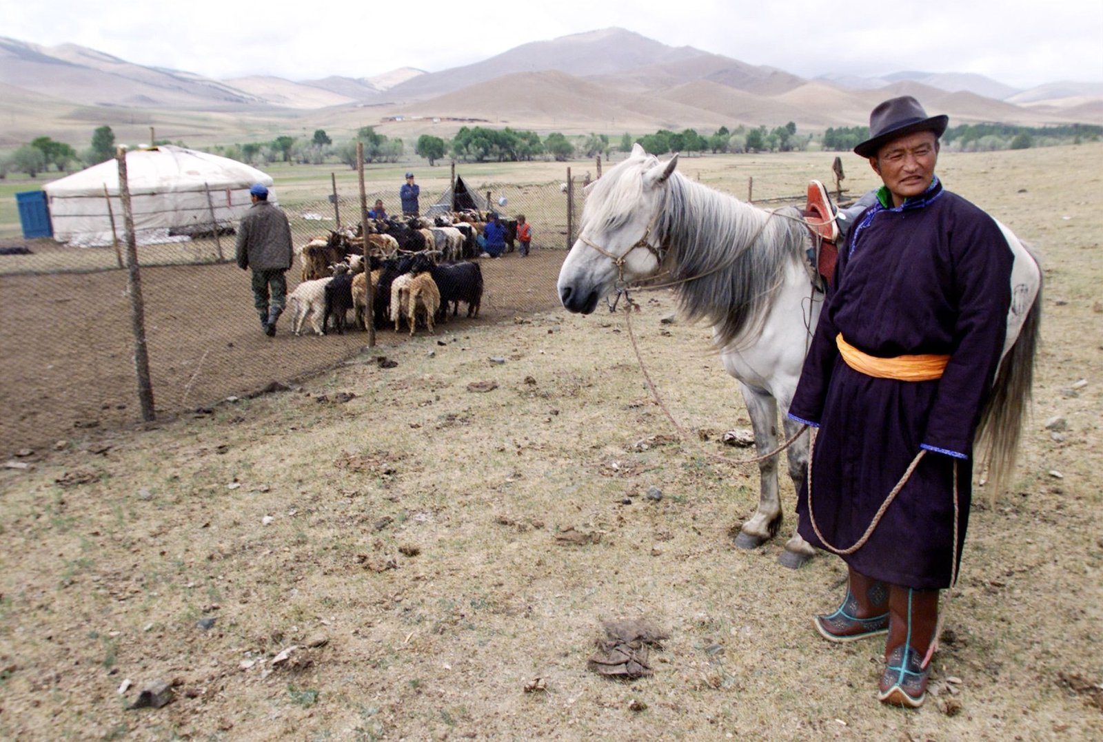 Mongolia’s cashmere trade is on the brink