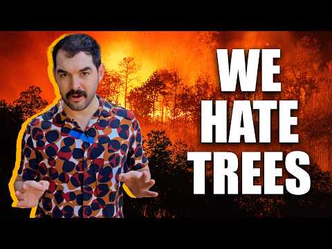 This Weird Fruit Is In Absolutely Everything | Climate Town