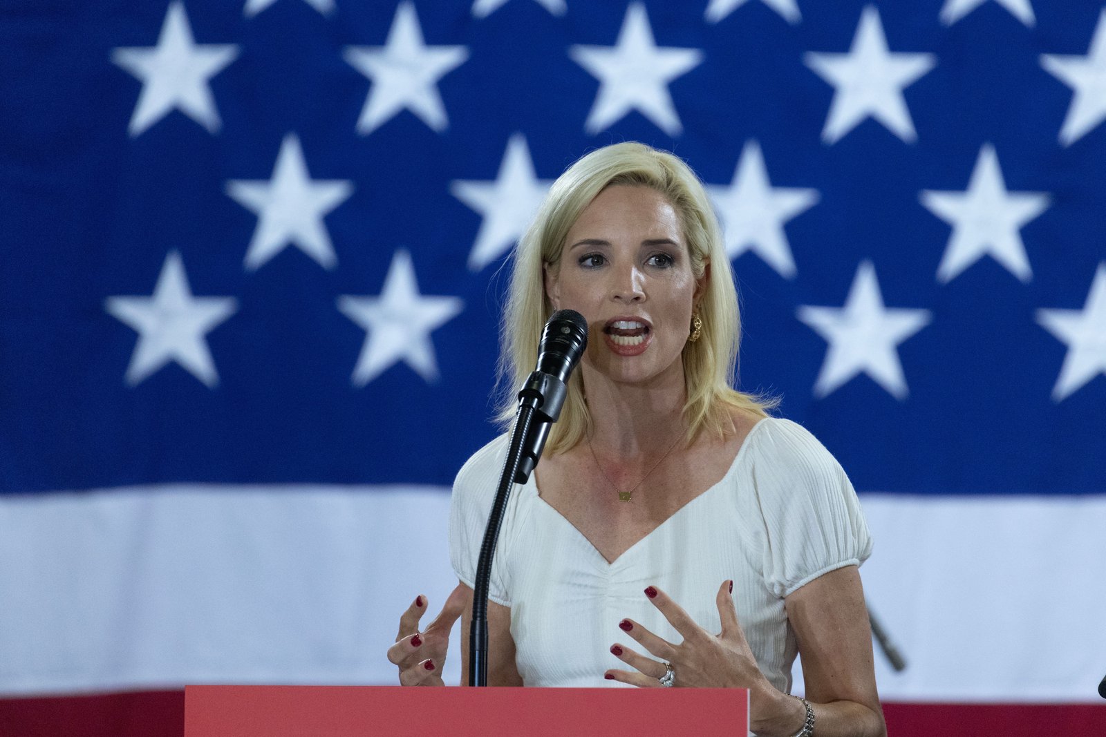 Republicans look to Hinson in Iowa’s Senate race