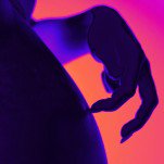 Cross Ballerina Farm with 'Rosemary's Baby' and You Get the New Novel 'Trad Wife' 