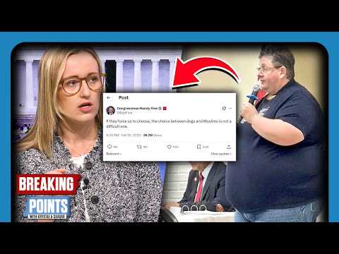 Emily vs Babylon Bee on Randy Fine's Muslim/Dogs Comment