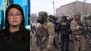 "Federal Invasion": Minnesota Officials Condemn Violent ICE Raids, Arrests