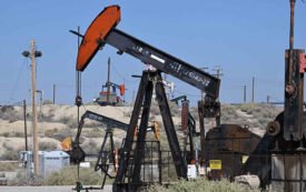 Masculinity, the Manosphere, and Climate Politics