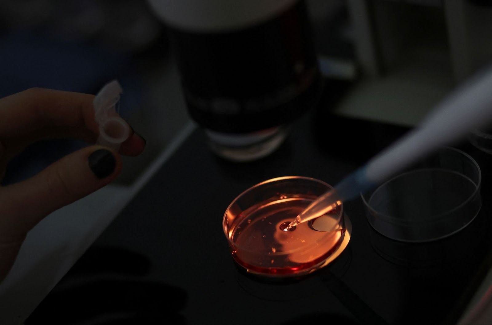 Scientists find gene associated with schizophrenia