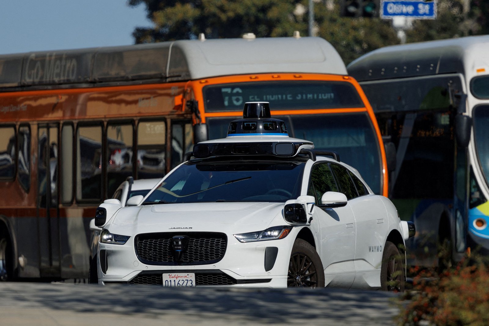 Waymo accused of hitting cat shows why AI needs to be perfect