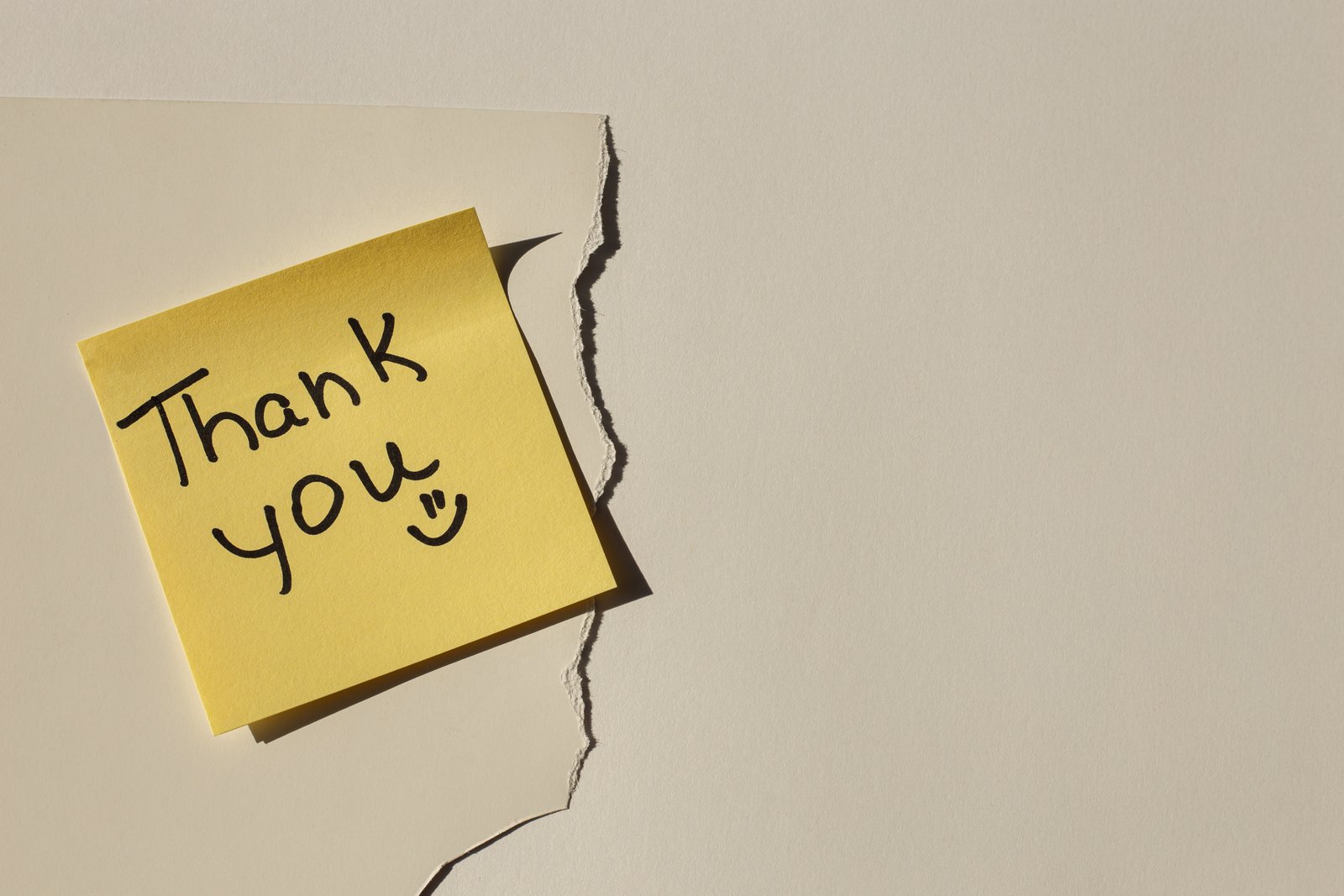 7 Things Zeteo Is Thankful for This Year