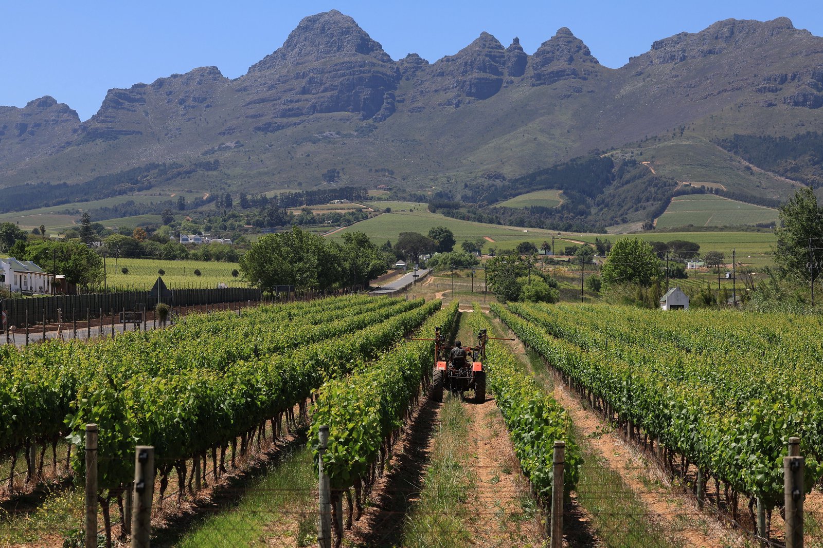 Global wine production grows slightly from 60-year low