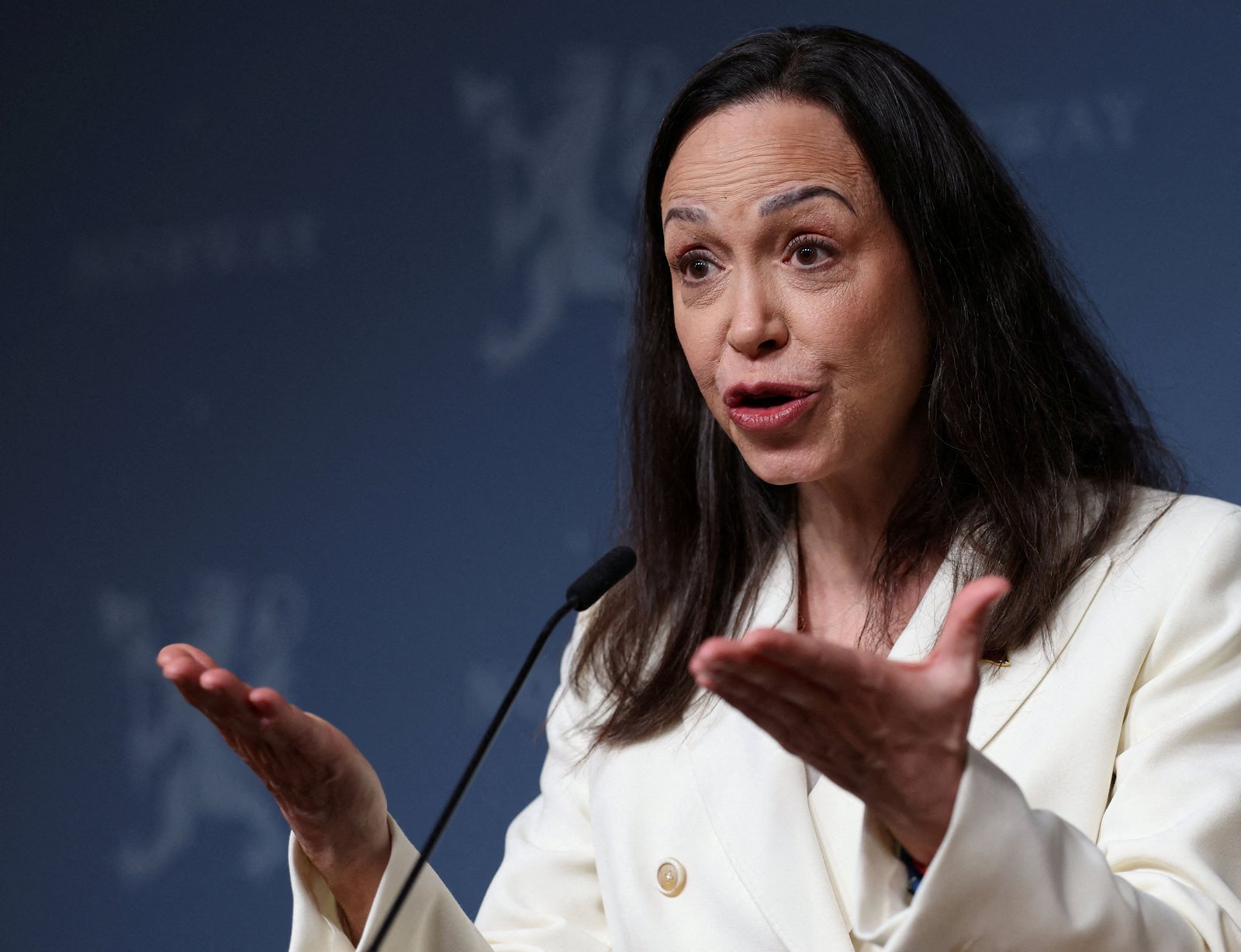 Trump allies seek White House visit for Venezuelan opposition leader