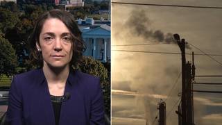 "Devastating": Trump EPA to Scrap Landmark Climate Finding in Pro-Fossil Fuel Deregulatory Push