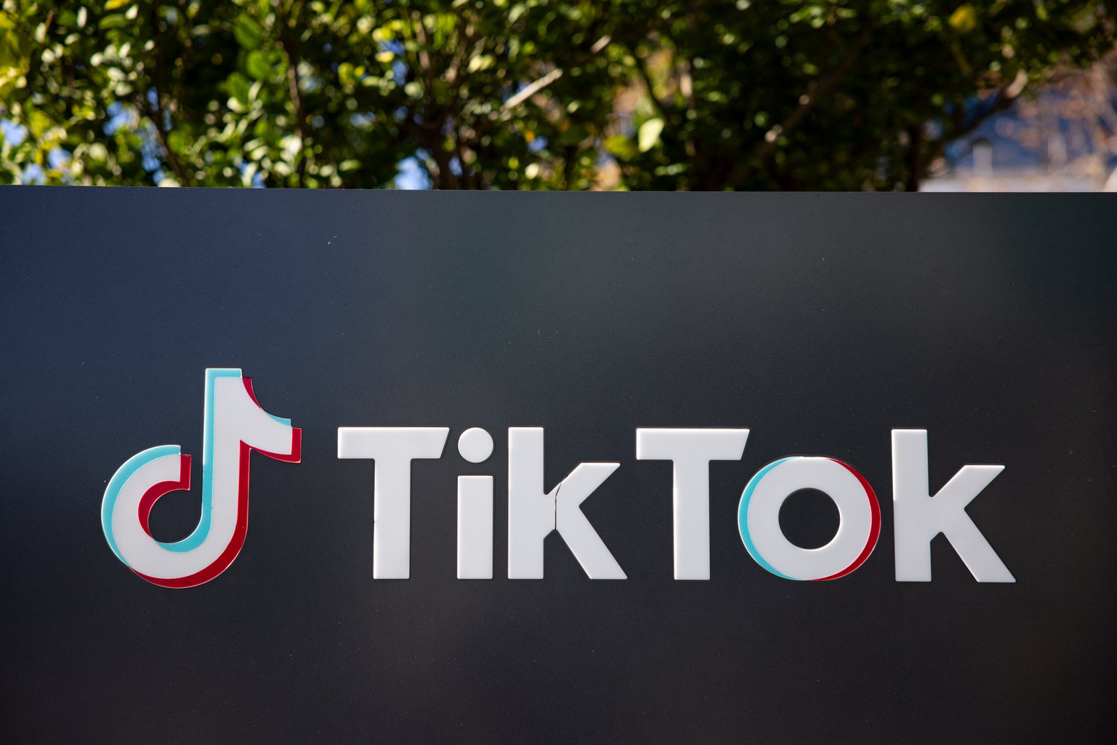 The Disastrous Rollout of the Trump-Approved TikTok Serves as a Stark Warning for Us All