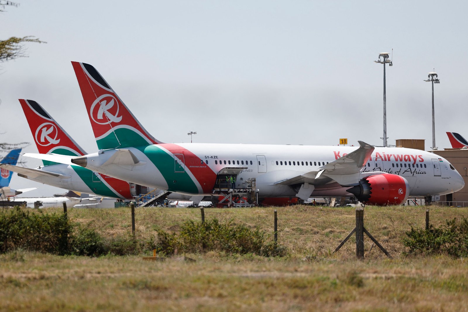 Kenya Airways COO urges airline partnerships