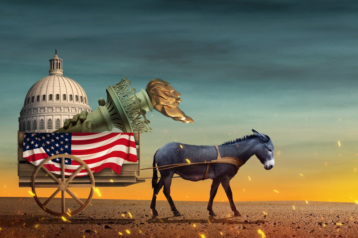 What Is a Democrat For?