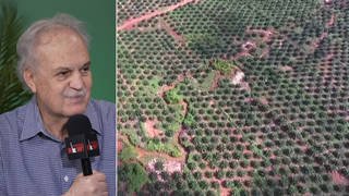 The Race to Save the Amazon: Top Brazilian Scientist Says Rainforest Is at "Tipping Point"