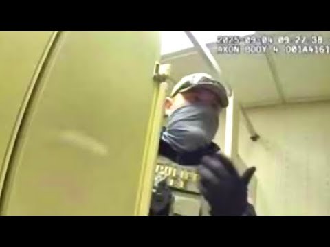 ICE Thugs Raid Women's Bathroom