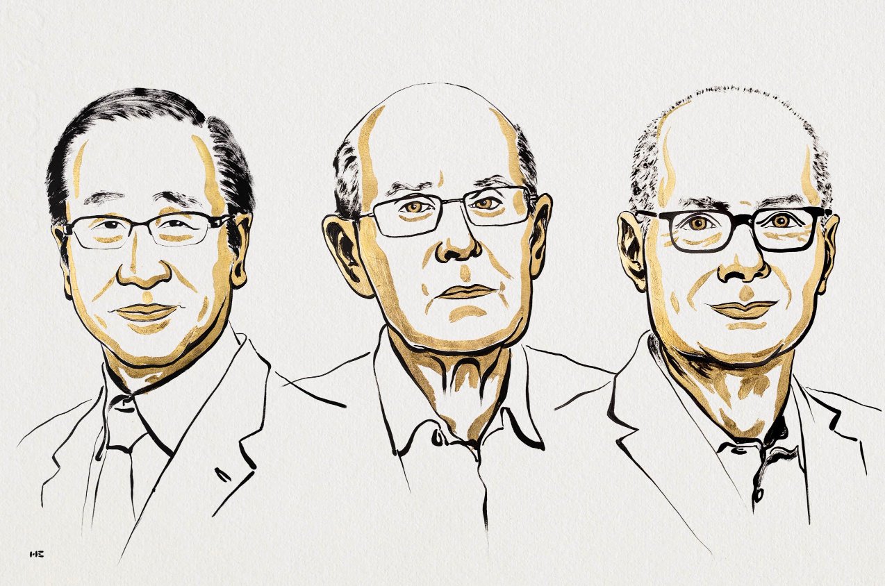 Nobel Prize in Chemistry awarded for work on porous metals