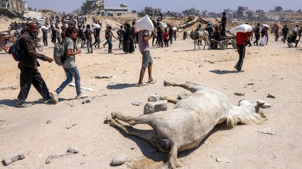 "It’d be nice to at least have a thank you.”