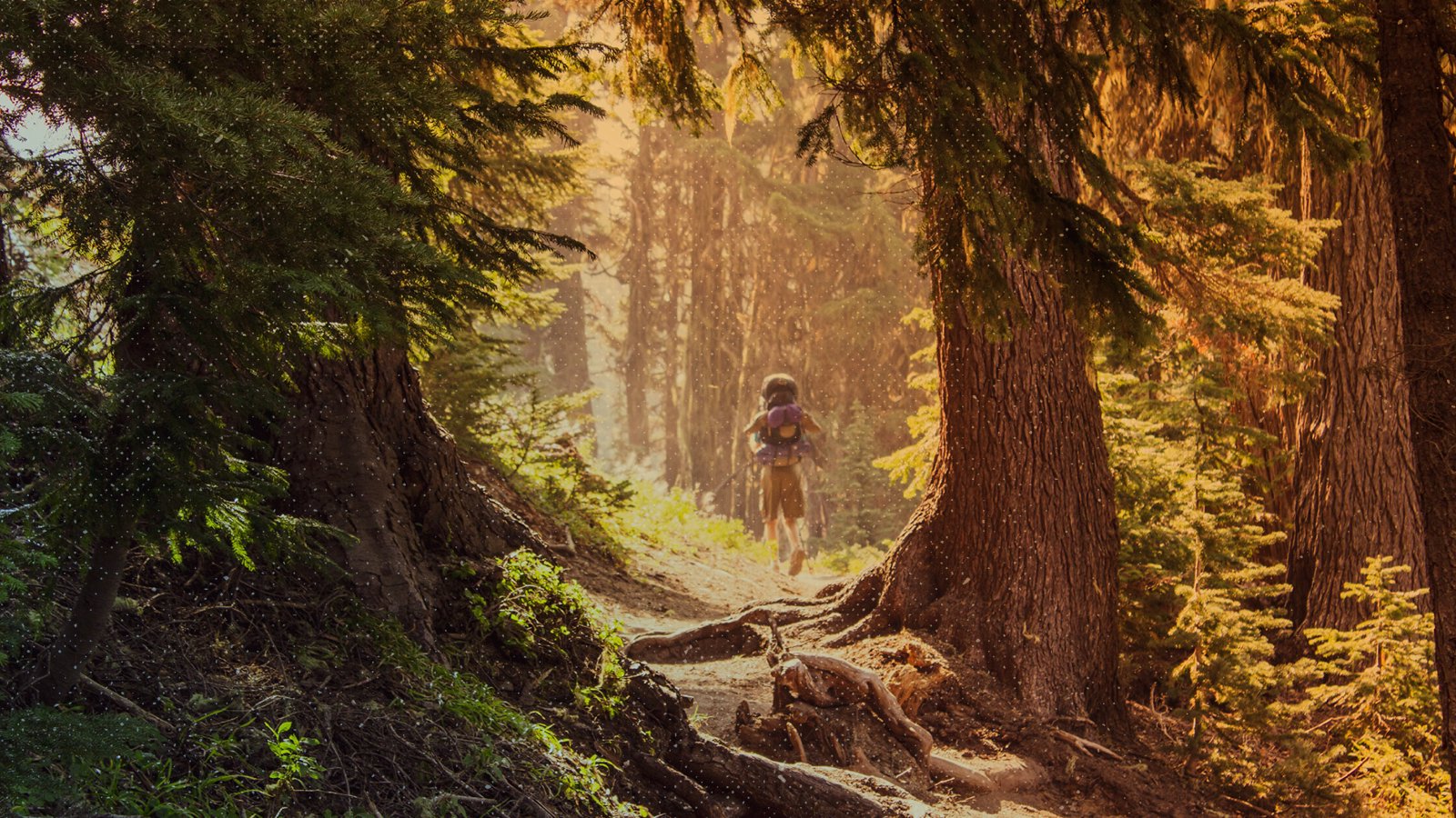  YOU LOVE TO SEE IT: Take A Hike — Legally 