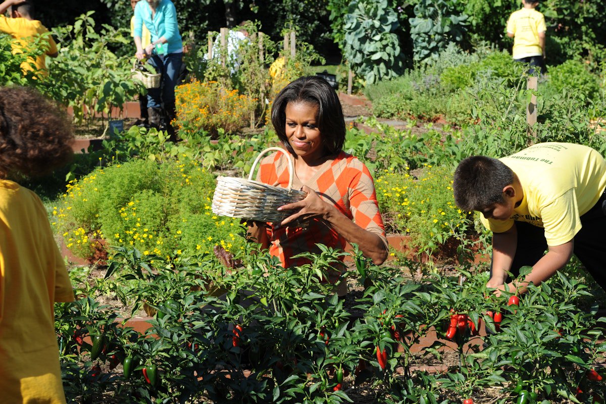 Food Used to Be Democrats’ Territory. What Happened?