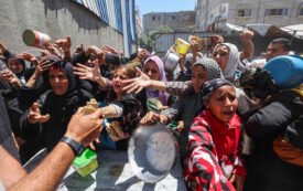 The WFP Is Out of Food in Gaza, the US and Rwanda Negotiate a Migrant Deal, National Security Adviser Waltz Is Reassigned